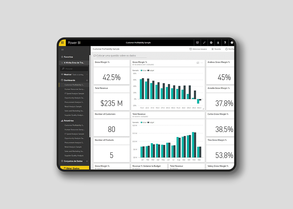 powerbi cinza